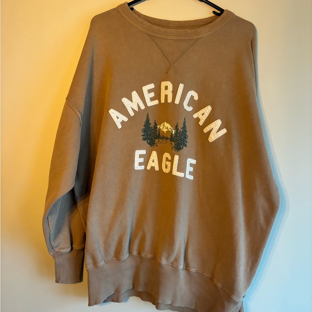 American Eagle Brown Sweatshirt